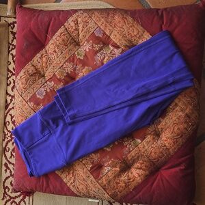Girlfriend Collectove High Rise Colbalt leggings (worn once)